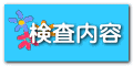 検査内容