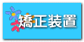 矯正装置